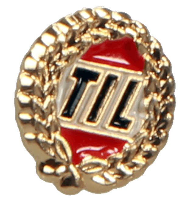 Hovedbilde TIL Pin